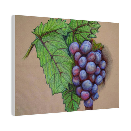 Chalk Grapes - Canvas Print