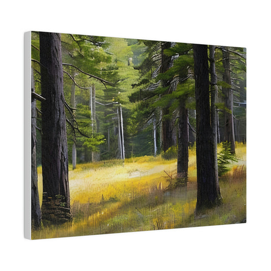 Forest Meadow - Canvas Print