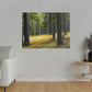 Forest Meadow - Canvas Print